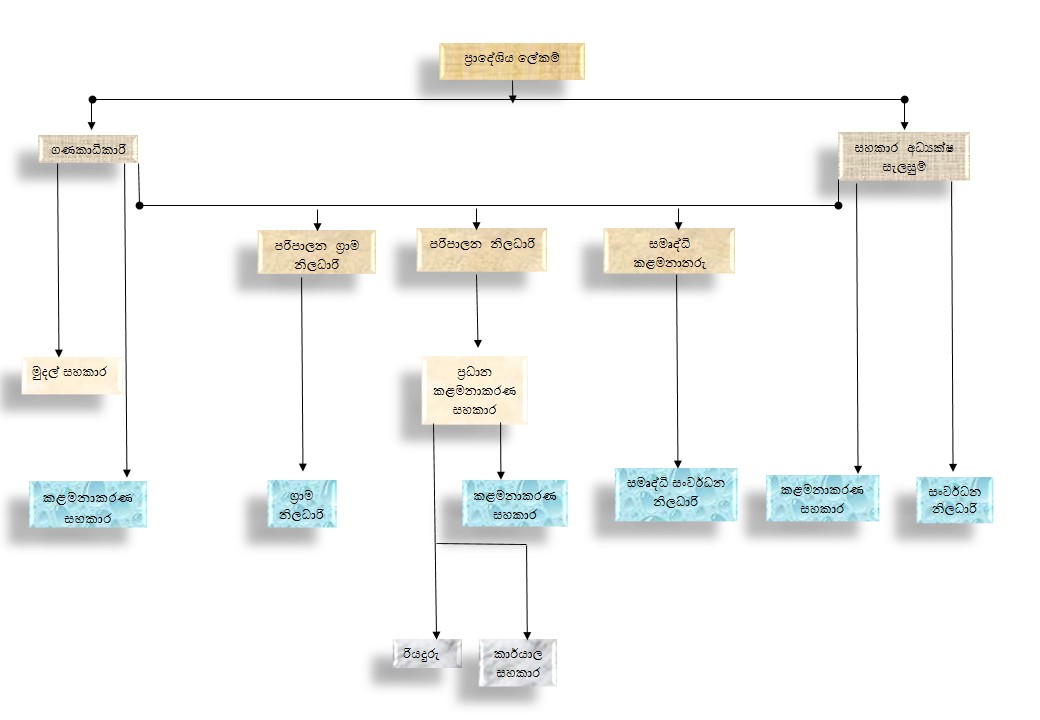 Org Chart Sinh